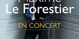 Maxime Le Forestier en concert