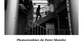 Peter Murphy - Year one