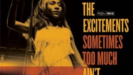 The Excitements - Sometimes Too Much Ain't Enough
