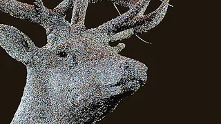 Exposition Les Chasses Nouvelles - Julien Salaud