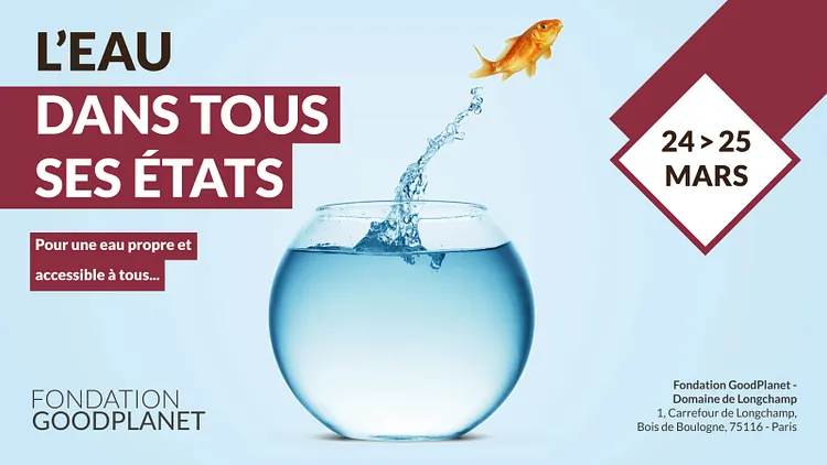 L’eau dans tous ses états
