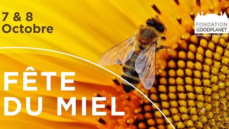 Fête du miel