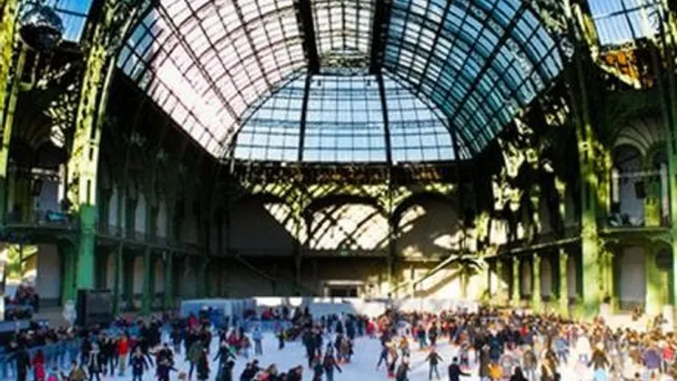 Le Grand Palais des Glaces 2014
