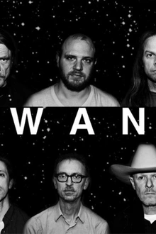 Swans en concert