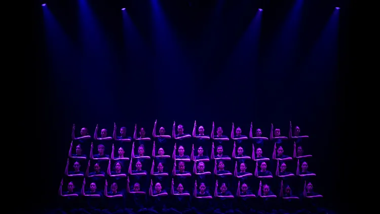 Murmuration Level 2