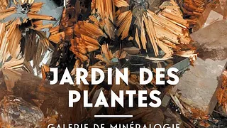 Galerie de Minéralogie et de Géologie : Exposition Trésors de la Terre