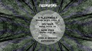 Kaleidobolt ✘ Decasia ✘ Wor Pigs !