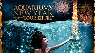 Aquarium's New Year 'Tour Eiffel'