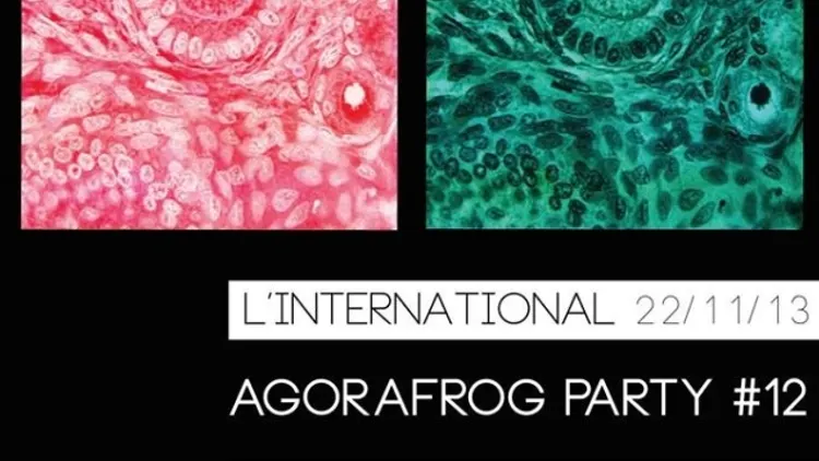 AgoraFrog Party#12 avec Armistice x Judy x Tender Tones