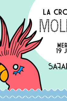 La Croisière Safari de Molécule (Live)