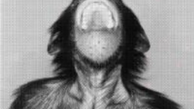 Soul Monkey