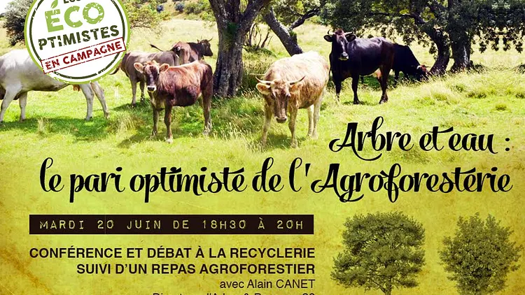 Arbre et eau : le pari optimiste de l'Agroforesterie