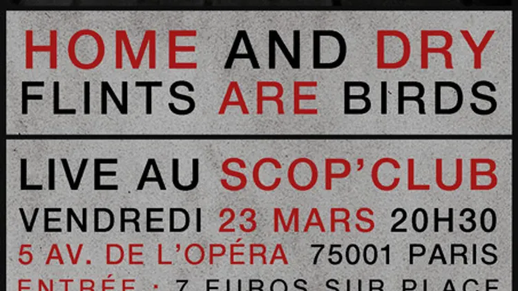 FLINTS ARE BIRDS + HOME & DRY + DJ set