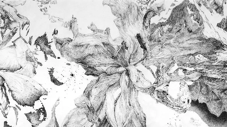 “Sutures” - Encres et fusains de Sandra Ghosn