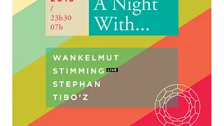 A Night With... Wankelmut, Stimming live, Stephan, Tibo'z