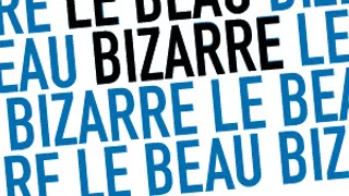 Le beau Bizarre Sound System