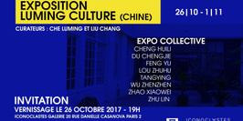 Exposition du collectif Chinois Luming Culture