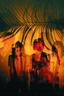 Glass Animals + pan aurora