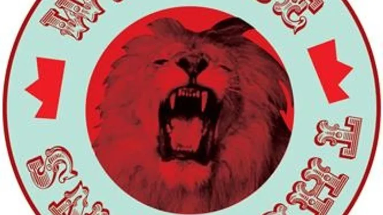 WE ARE THE LIONS : Live Indie Rock