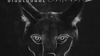 Disclosure en concert