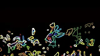 TROPICAL DISCOTHEQ !