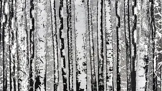 Exposition Pierre-Luc Poujol