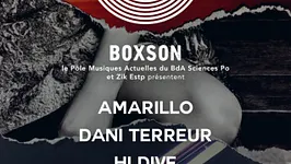 Boxson #1 // Amarillo • Dani Terreur • Hi Dive