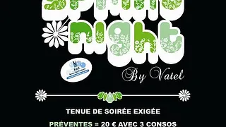 Gala institut Vatel