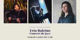 Concert Trio Jazz - Trio Baleine