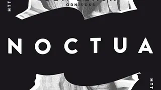 NOCTUA #001