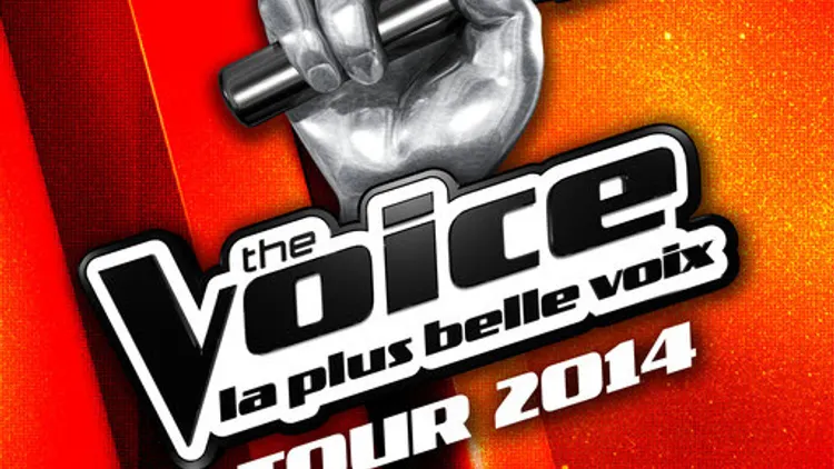 The Voice Tour 2014