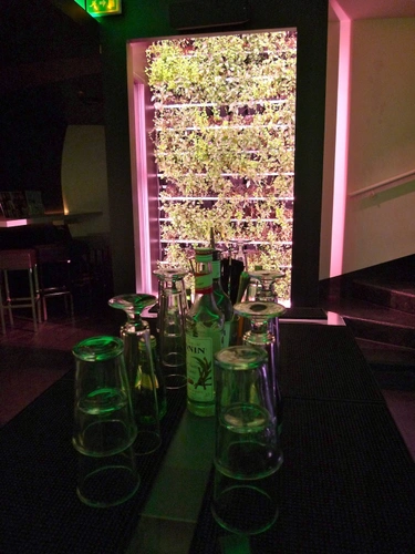 Mojito Lab Bar Paris