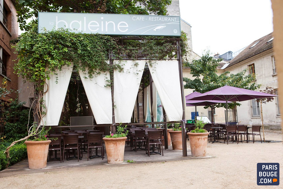 La Baleine Restaurant Paris