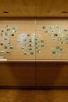 Sciences coloniales, photographies de l’Institut Français d’Afrique Noire (1936-1966)