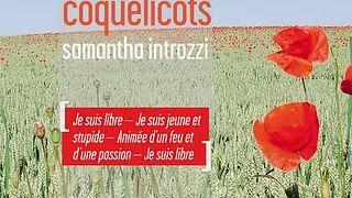 Il existe encore des coquelicots