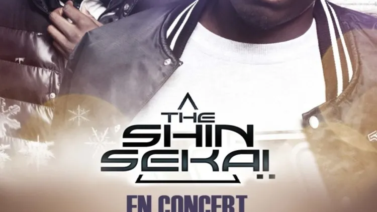 The Shin Sekai