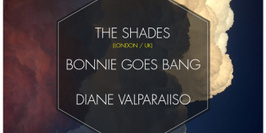 AgoraFrog Party #4 w The Shades, Bonnie goes bang & Diane Valparaiiso