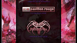 Perturbator en concert
