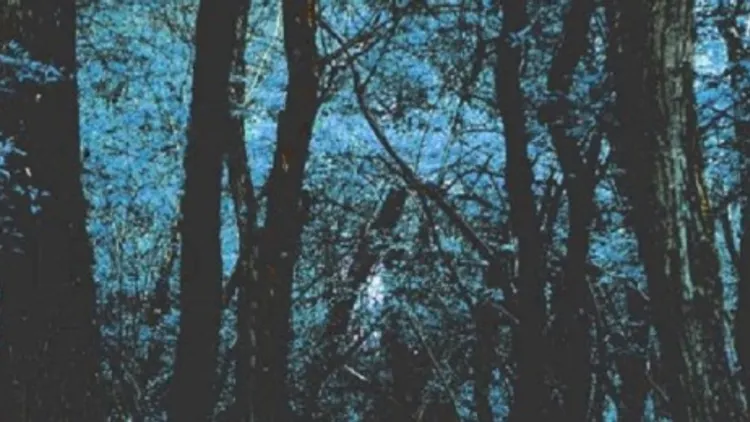 No Mountains • Sophie oZ • George Random // Supersonic - Gratuit