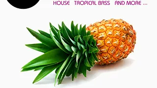 TROPICAL DISCOTHEQUE