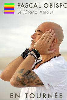 Pascal Obispo en concerts