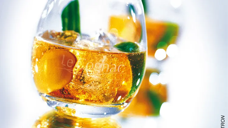 Cognac Experience