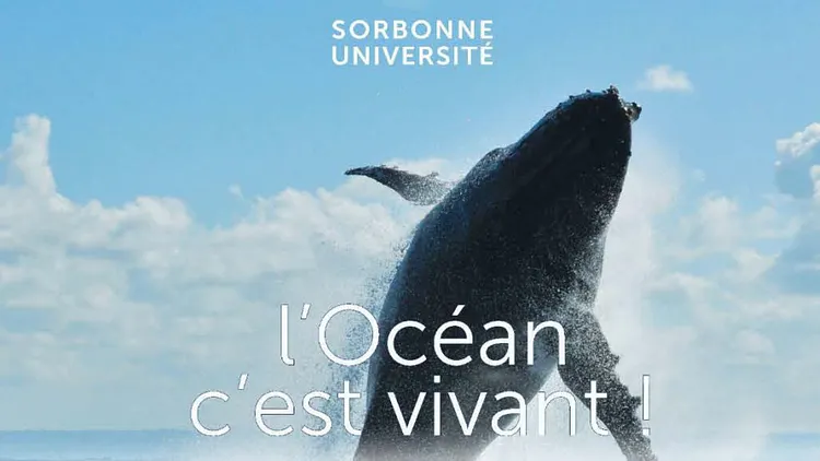 L’OCÉAN, C’EST VIVANT !