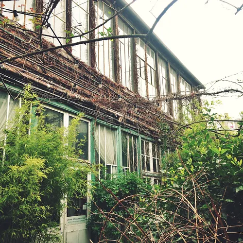 Villa Vassilieff Galerie d'art Paris