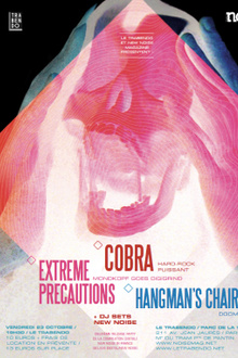 New noise in france #2 : Cobra + extreme precautions + guests