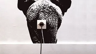 Exposition Animal