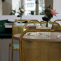 Abattoir végétal