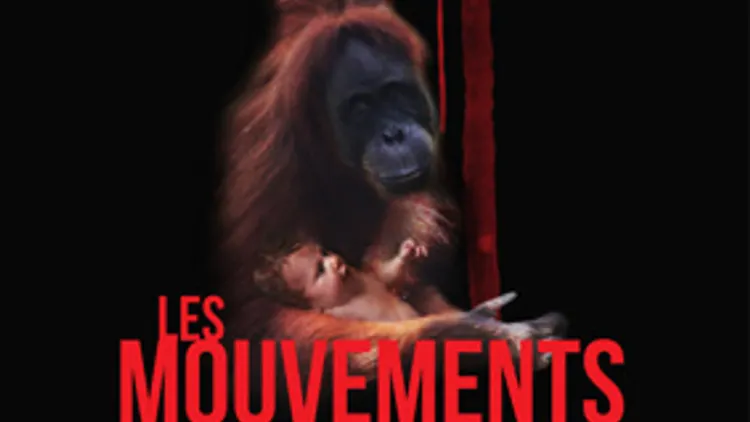Avant-première du film Les Mouvements du bassin de HPG