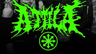 ATTILA ■ THE WORD ALIVE ■ GUEST
