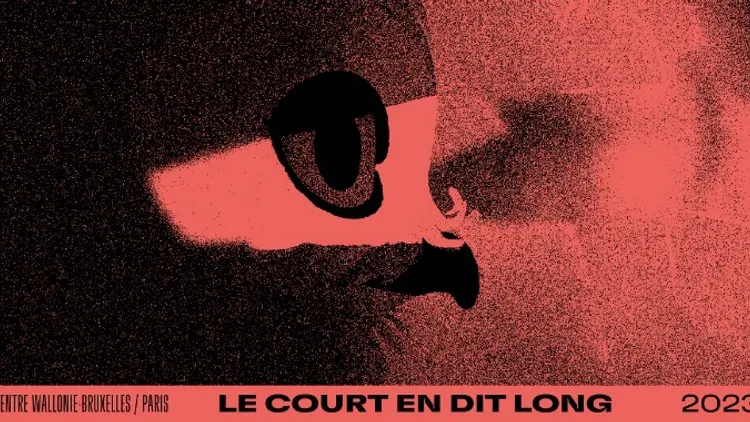 Cinéma & Art vidéo : 31e Festival Le Court en dit long